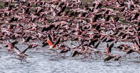 Predavanje - Žiri02